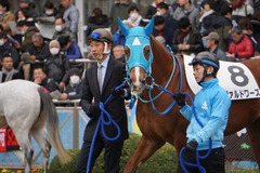 20200126 中山7R (1勝クラス) ヴァルドワーズ 14
