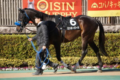 20200202 東京10R 早春S (3勝クラス) ミッキーバード 02