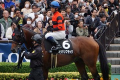 20191124 東京10R ウェルカムS (3勝) オウケンブラック 16