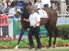20190921 中山12R 3歳上2勝クラス 09