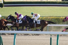 20200105 中山2R 3歳未勝利 セイウンヒロイン 18