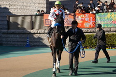 20200202 東京10R 早春S (3勝クラス) ミッキーバード 13