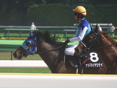 20190525 東京10R 葉山特別(1000) アドマイヤシナイ 20