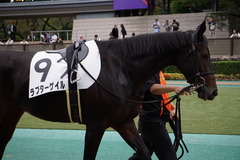20191026 東京12R 3歳上1勝クラス ラプターゲイル 12