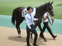 20190601 東京6R 3歳未勝利 マルニ 09