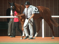 20190831 札幌12R 日高特別 3歳上2勝クラス クラサーヴィツァ 03