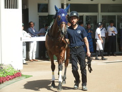 20190928 中山5R 2歳牝馬メイクデビュー アルソリート 02