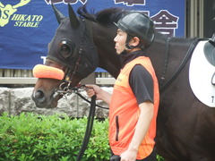 20190518 東京7R (500) ラプターゲイル 07