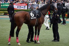 20191124 東京10R ウェルカムS (3勝) オウケンブラック 11