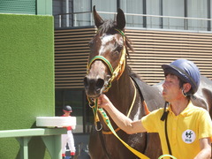 20190908 中山2R 2歳未勝利 ルトロヴァイユ 30