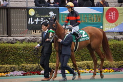 20200215 東京11R クイーンC(G3) 3歳牝馬OP ホウオウピースフル 15