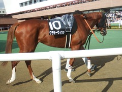 20190831 札幌12R 日高特別 3歳上2勝クラス クラサーヴィツァ 10