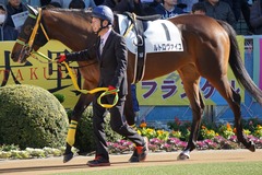 20200105 中山5R 3歳1勝クラス ルトロヴァイユ 09