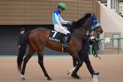 20200125 中山10R 東雲賞(3勝) アドマイヤシナイ 18