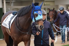 20200112 中山12R 4歳上3勝クラス アドマイヤシナイ 06