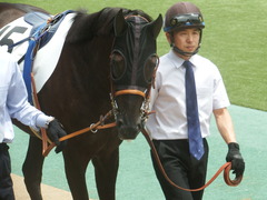 20190601 東京6R 3歳未勝利 マルニ 11
