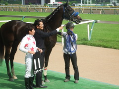 20190608 東京9R 八丈島特別 1勝 ミッキーバード 30