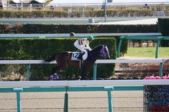 20200105 中山2R 3歳未勝利 セイウンヒロイン 16