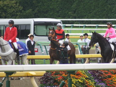 20190609 東京7R 3歳上1勝 ピンシェル 26