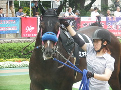 20190608 東京9R 八丈島特別 1勝 ミッキーバード 15