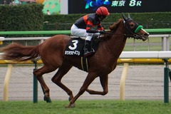 20191103 東京8R 百日草特別 2歳1勝クラス ホウオウピースフル 16