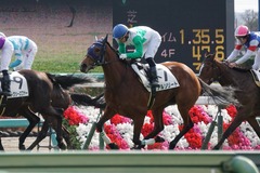 20191215 中山4R 2歳未勝利 アルソリート 20