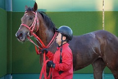 中山12R 4歳上2勝クラス オトナノジジョウ 26