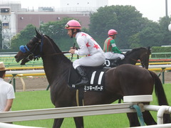 20190608 東京9R 八丈島特別 1勝 ミッキーバード 23