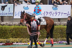 20200215 東京4R 3歳1勝クラス ベイサイドブルー 14