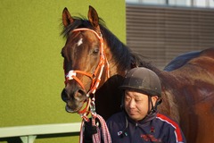 20200111 中山11R 迎春S (3勝クラス) ホウオウドリーム 36