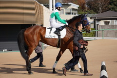 20191215 中山4R 2歳未勝利 アルソリート 17