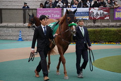 20200215 東京11R クイーンC(G3) 3歳牝馬OP ホウオウピースフル 10