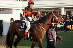 20200111 中山11R 迎春S (3勝クラス) ホウオウドリーム 21