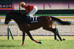 20200202 東京10R 早春S (3勝クラス) オウケンブラック 13