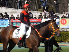 20200209 東京7R 4歳上1勝クラス ピンシェル 17