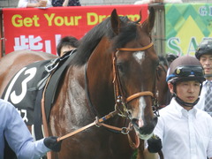 20190608 東京11R 多摩川S 3勝 ルーカス 14