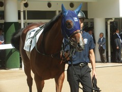 20190928 中山5R 2歳牝馬メイクデビュー アルソリート 06