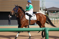 20191215 中山4R 2歳未勝利 アルソリート 21
