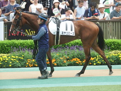 20190616 東京8R 3歳上1勝クラス ミヤコローズ 10