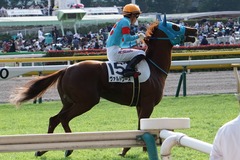 20191027 東京7R 3歳上1勝クラス ヴァルドワーズ 16