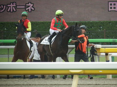 20190518 東京7R (500) ラプターゲイル 16