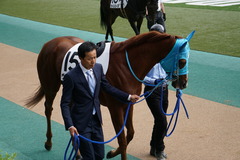 20191027 東京7R 3歳上1勝クラス ヴァルドワーズ 09