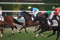 20200112 中山12R 4歳上3勝クラス アドマイヤシナイ 21