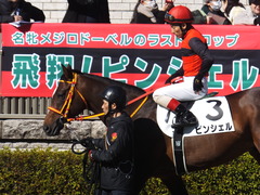 20200209 東京7R 4歳上1勝クラス ピンシェル 18