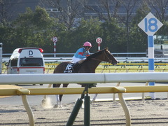20200208 東京11R 節分S(4歳上3勝クラス) ルーカス 18