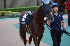20191027 東京12R 西湖特別 3歳上2勝クラス メイショウノボサン 06