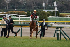 20200215 東京11R クイーンC(G3) 3歳牝馬OP ホウオウピースフル 18