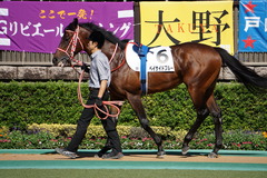 20191026 東京3R 2歳未勝利 ベイサイドブルー 05