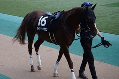 20191027 東京12R 西湖特別 3歳上2勝クラス メイショウノボサン 02