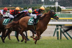 20200215 東京11R クイーンC(G3) 3歳牝馬OP ホウオウピースフル 20